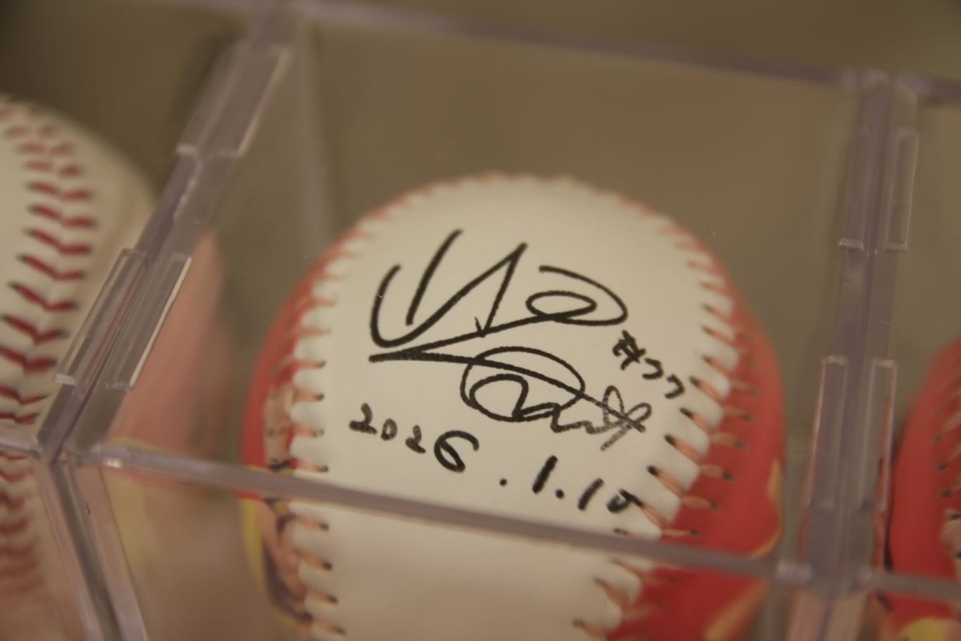 612604544 18066248114536585 8564667961034850954 n