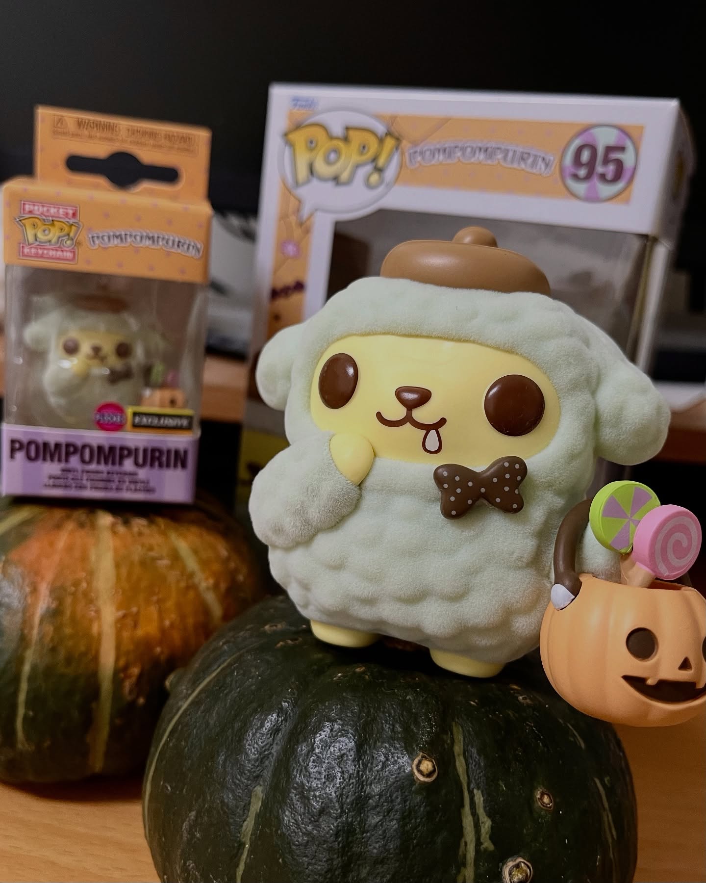 573639383 18059092811536585 2275093694905807412 n